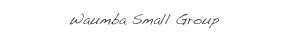 Waumba Small Group